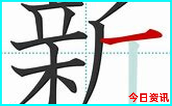 开奖记录表
